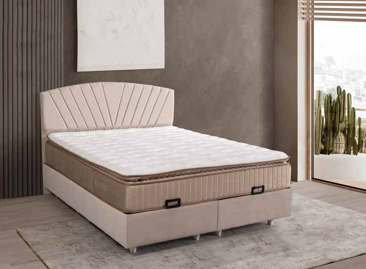 Bella model baza ve başlık